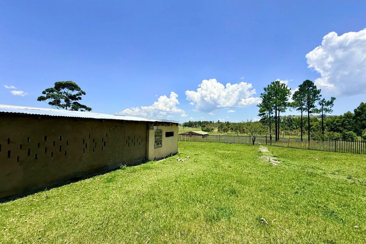 Smallholding for sale in Vryheid area - Photo 2