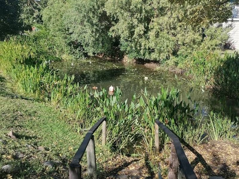 Beautiful Hidden Gem - Photo 7