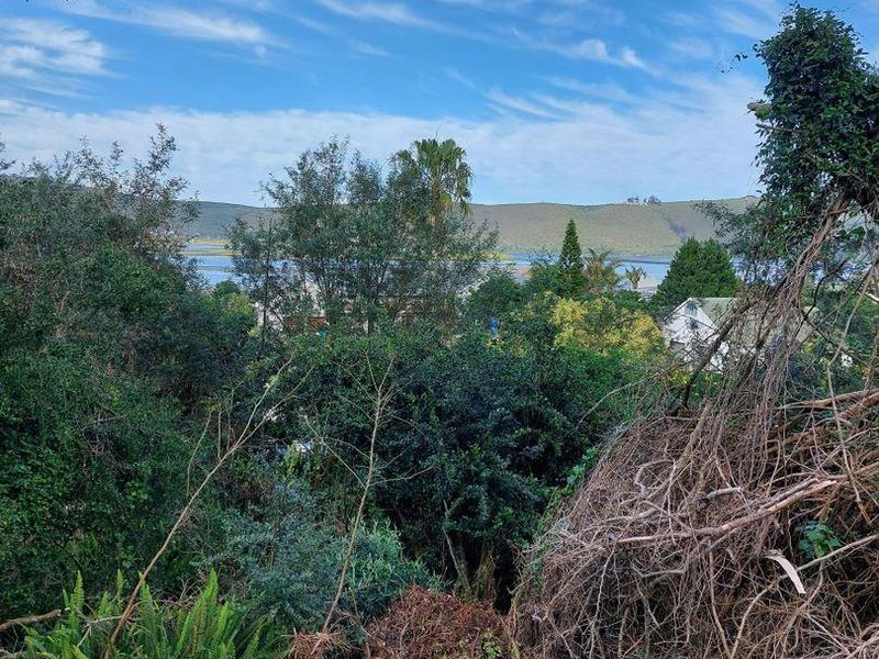 Vacant Land in Paradise - Photo 9