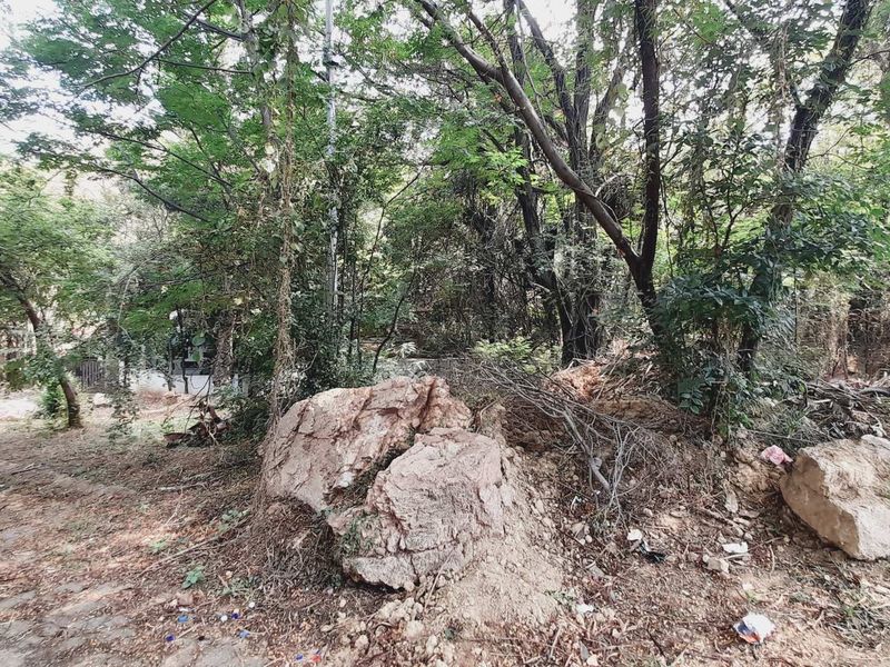 Tranquil & Convenient: Your Future Starts Here - Photo 2