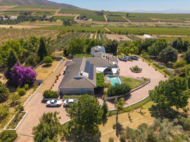 Life-style Olive Farm With Established Operations and Quality Infrastructure - Photo 10