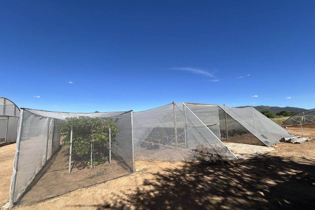 Agricultural plot- Ondekaremba Estate - Photo 2