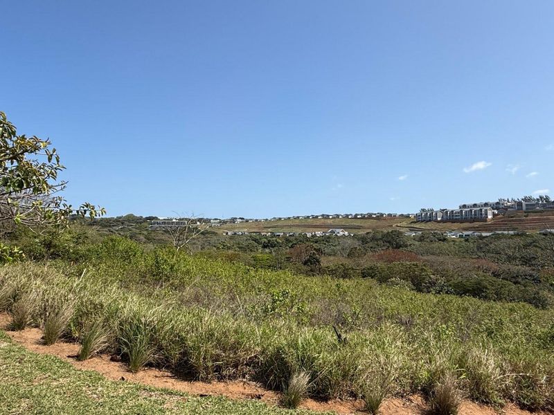 A scenic view overlooking the natural landscape and surrounding residential development.