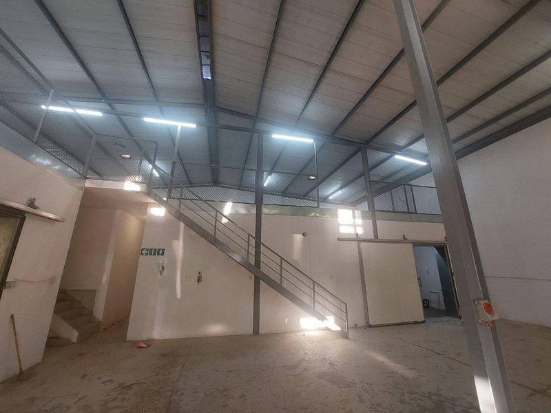 For Sale Prosperita - Freestanding warehouse - Photo 4