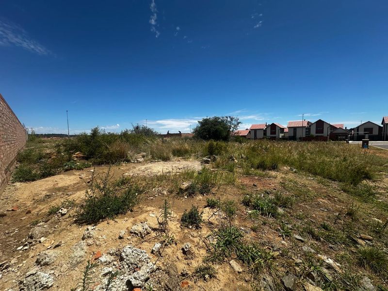 Prime Vacant Land Opportunity in Wild Olive Estate - Photo 6