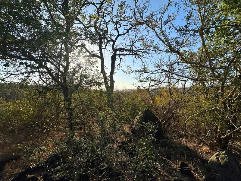 Build Your Dream Home with Mountain Views in Elephant Rock Eco Estate - Photo 4