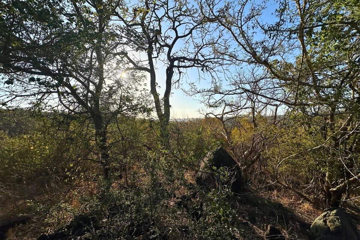 Build Your Dream Home with Mountain Views in Elephant Rock Eco Estate - Photo 4