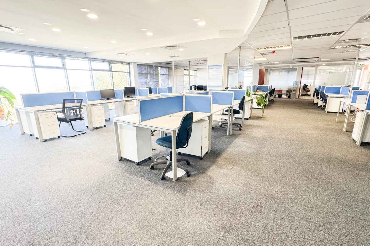 Spacious open-plan office area featuring large windows for natural light, suspended ceilings with recessed lighting, and carpeted flooring throughout.