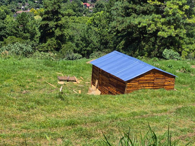 ELEVATED TERRACED VACANT LAND IN BOTHAS HILL - Photo 4