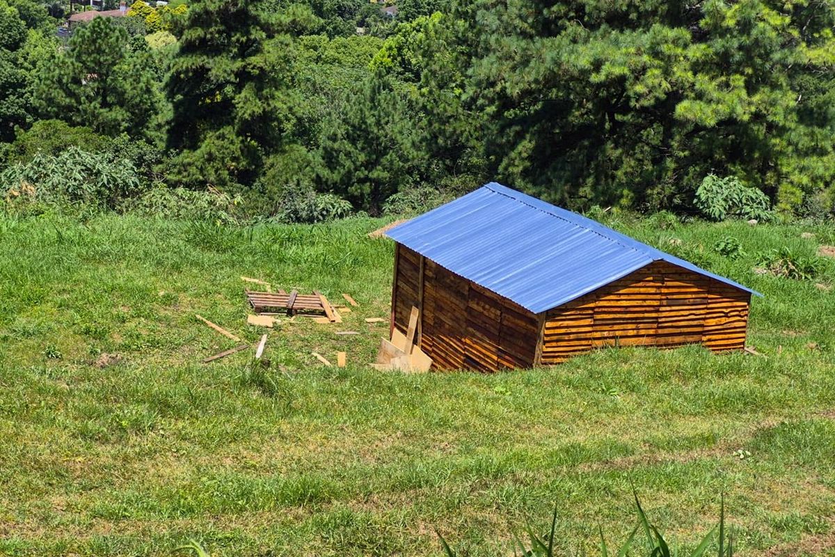 ELEVATED TERRACED VACANT LAND IN BOTHAS HILL - Photo 4