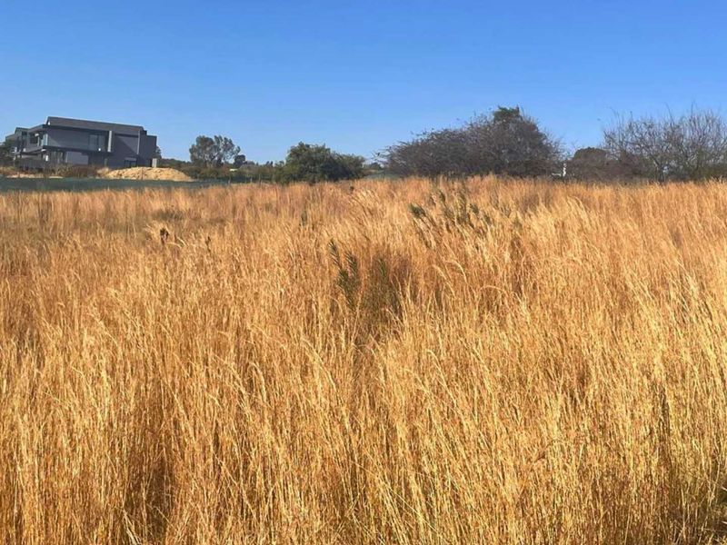 A view of a vacant residential plot featuring natural tall grass and surrounding landscape.