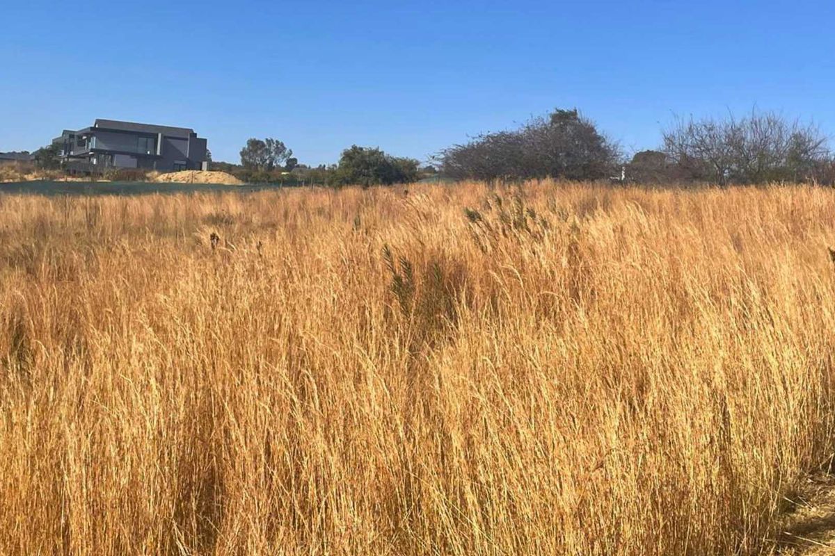 A view of a vacant residential plot featuring natural tall grass and surrounding landscape.