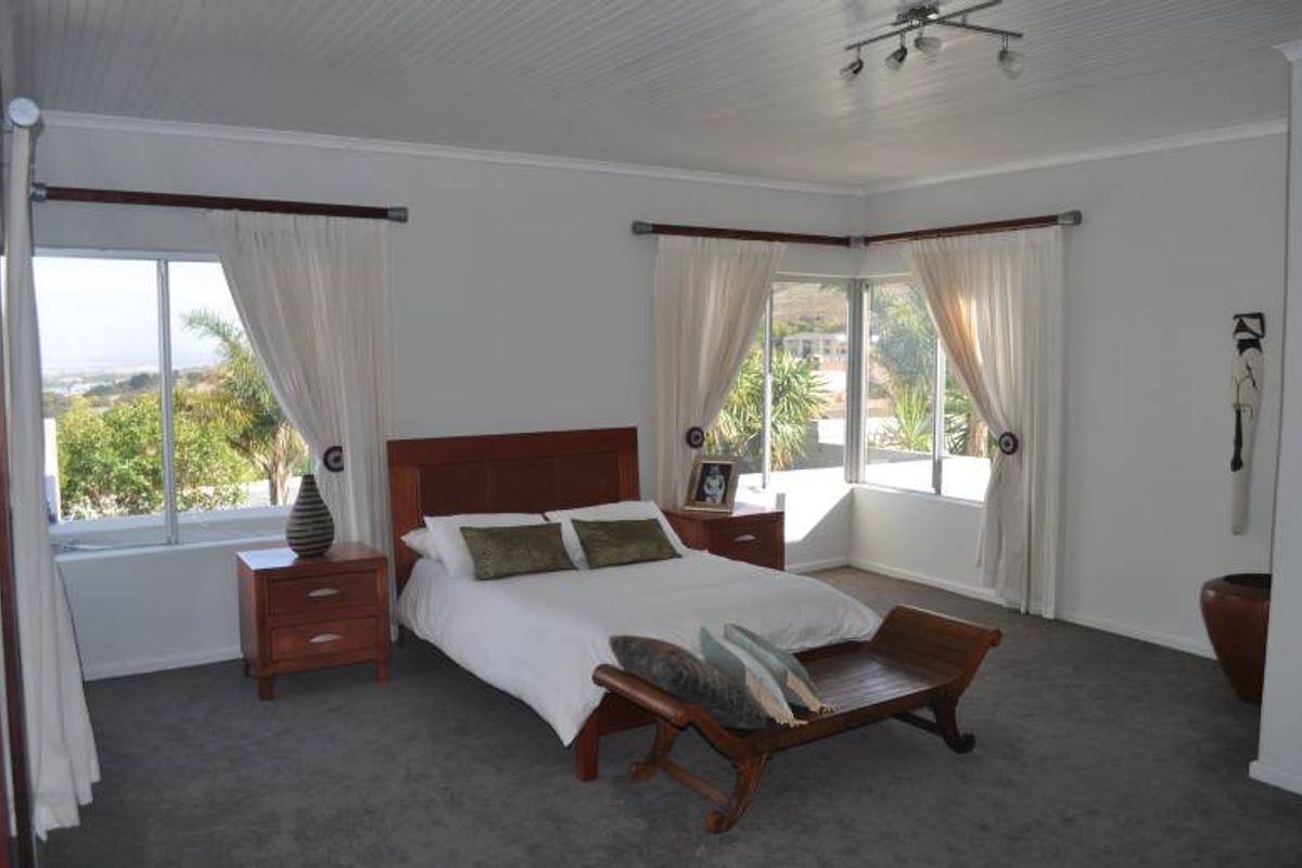Spacious bedroom featuring large windows with natural light, neutral wall finishes, and carpeted flooring.