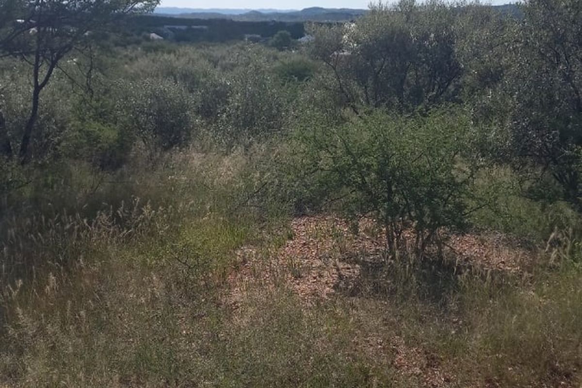 15 ha vacant land to buy east of Windhoek - Photo 3