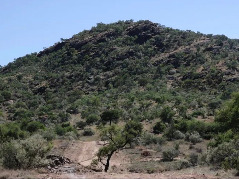 A scenic view of a natural rocky hillside with indigenous vegetation, showcasing the rugged landscape of the vacant residential property.