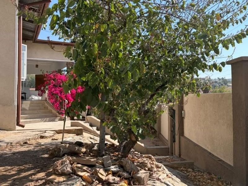 A rear exterior view showing a landscaped garden area with a retaining wall, concrete stairs leading to a patio, and established trees.