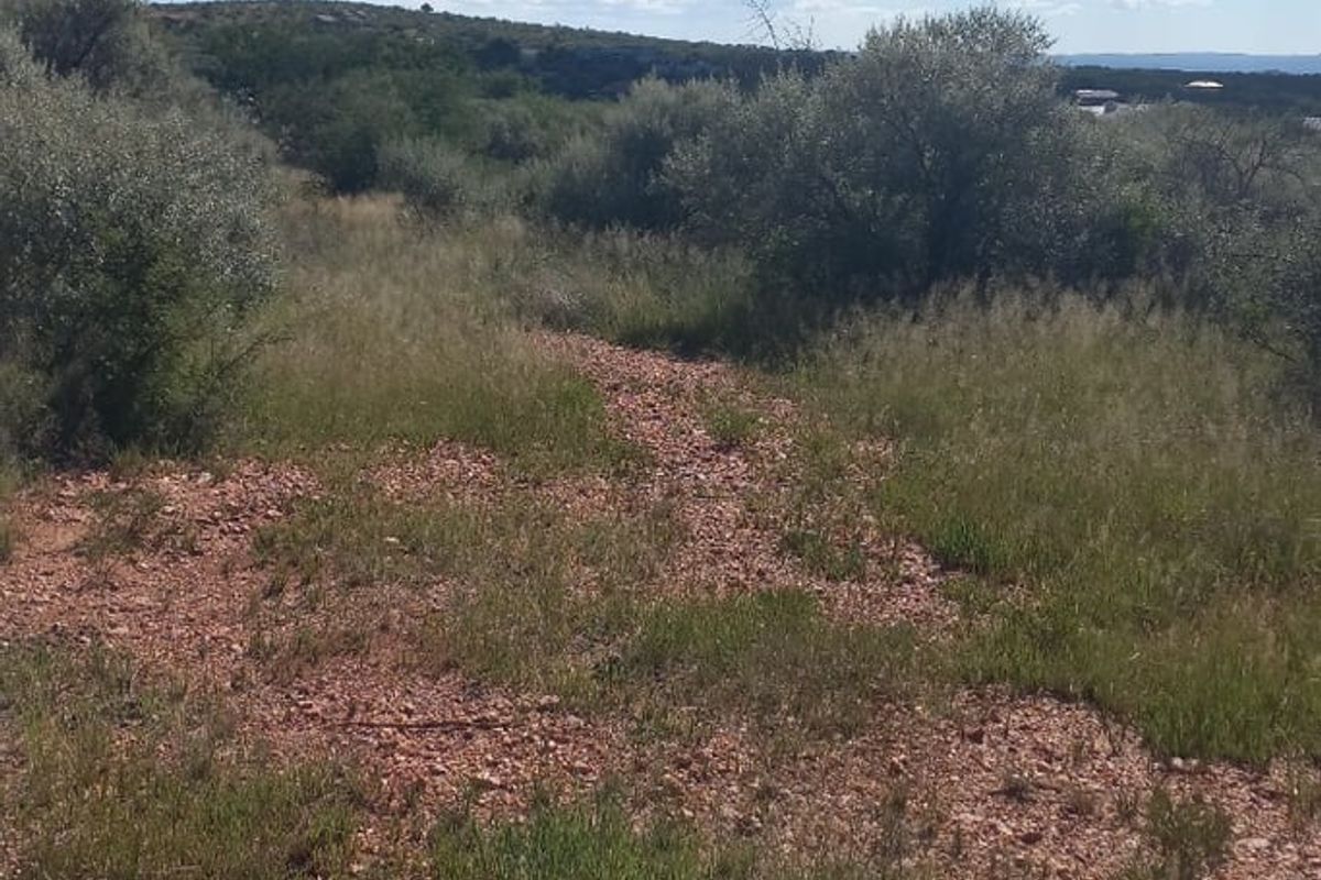 15 ha vacant land to buy east of Windhoek - Photo 2