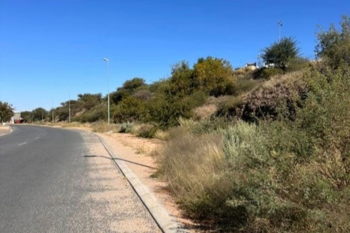A view of the paved road and concrete curbing bordering the vacant commercial land, featuring natural vegetation and street lighting infrastructure.
