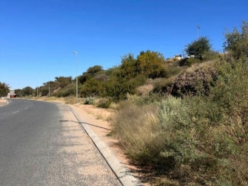 A view of the paved road and concrete curbing bordering the vacant commercial land, featuring natural vegetation and street lighting infrastructure.