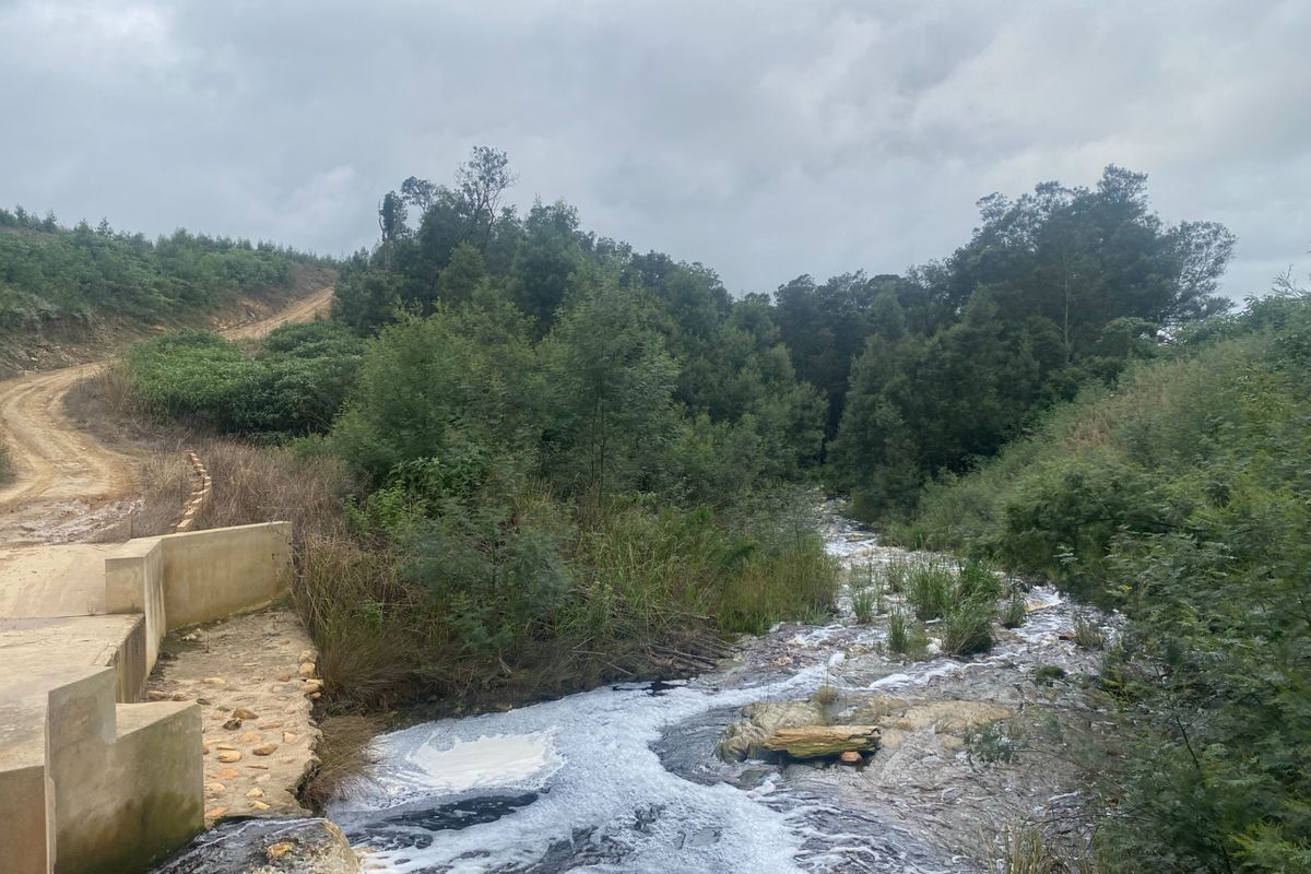 Farm For Sale in George Rural - Photo 2