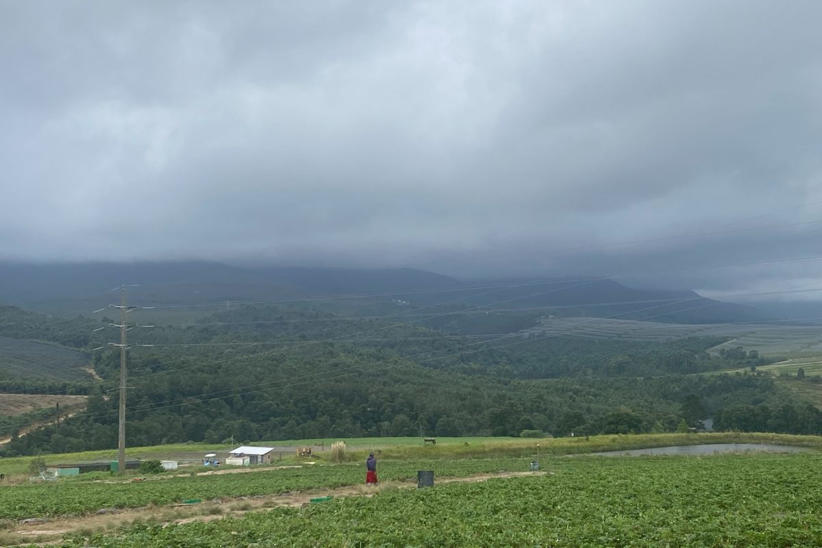 Farm For Sale in George Rural - Photo 3