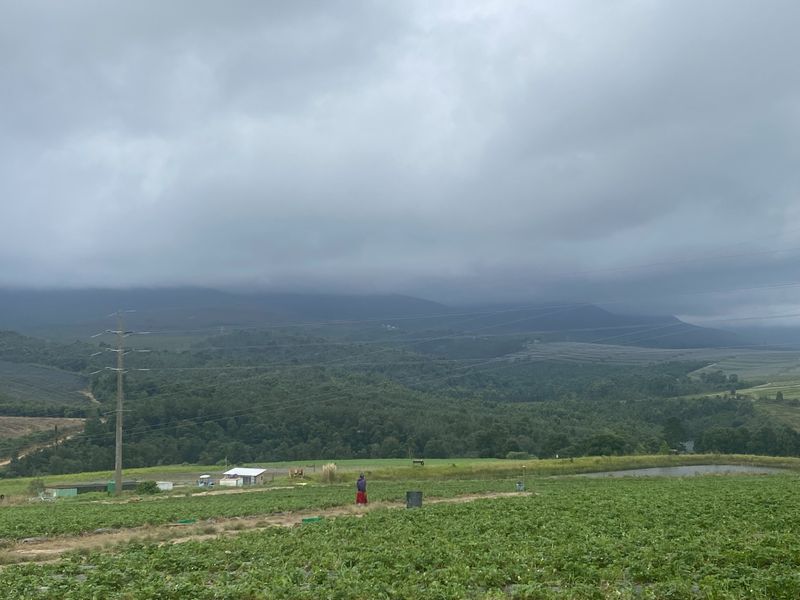 Farm For Sale in George Rural - Photo 3