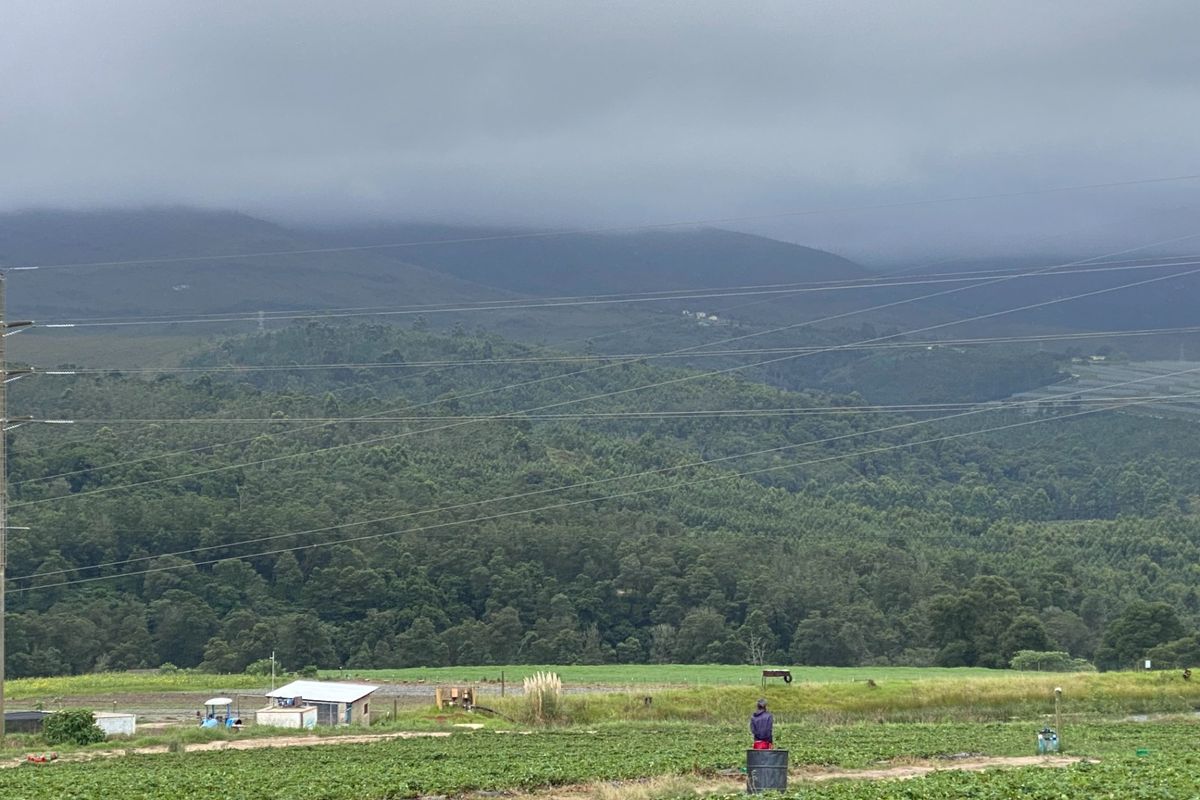 Farm For Sale in George Rural - Photo 4