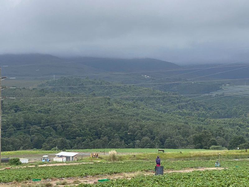 Farm For Sale in George Rural - Photo 4