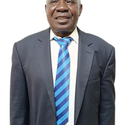 Patrick Mbedzi