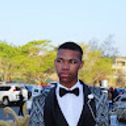 Michael Udenyi