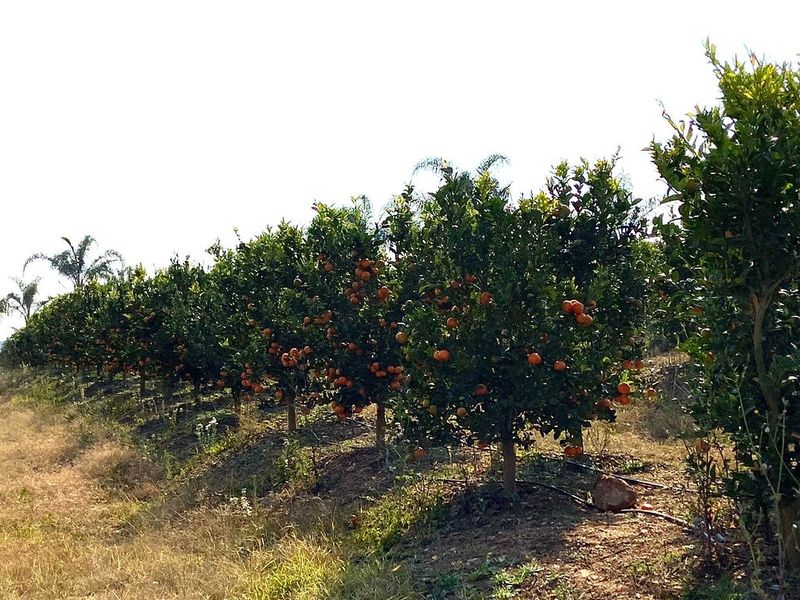 Established large scale Farm - Photo 6