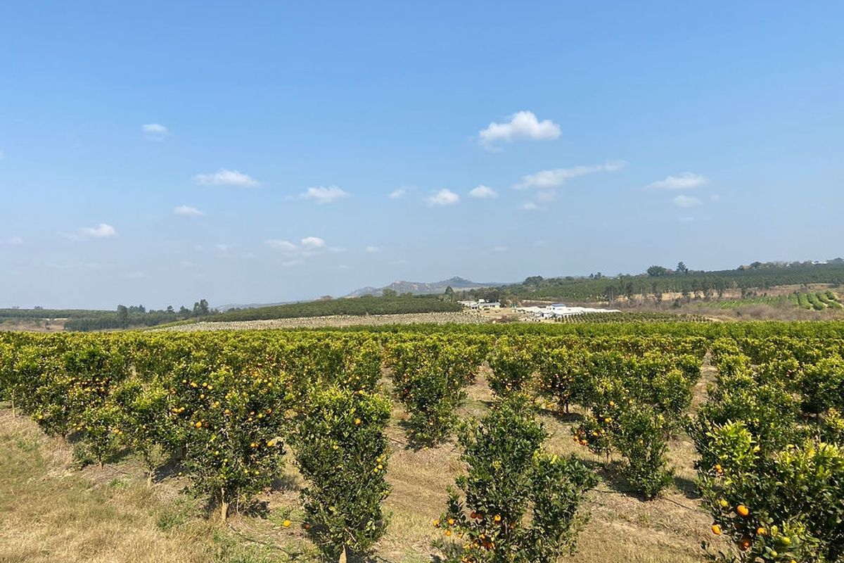 Established large scale Farm - Photo 5