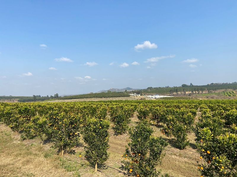 Established large scale Farm - Photo 5