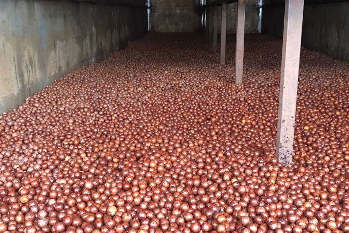 Established large scale Farm - Photo 4