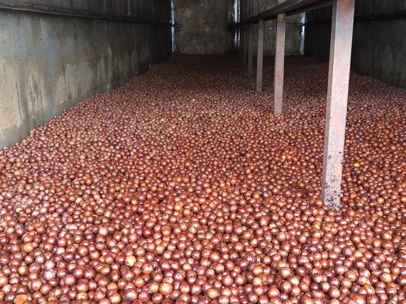 Established large scale Farm - Photo 4