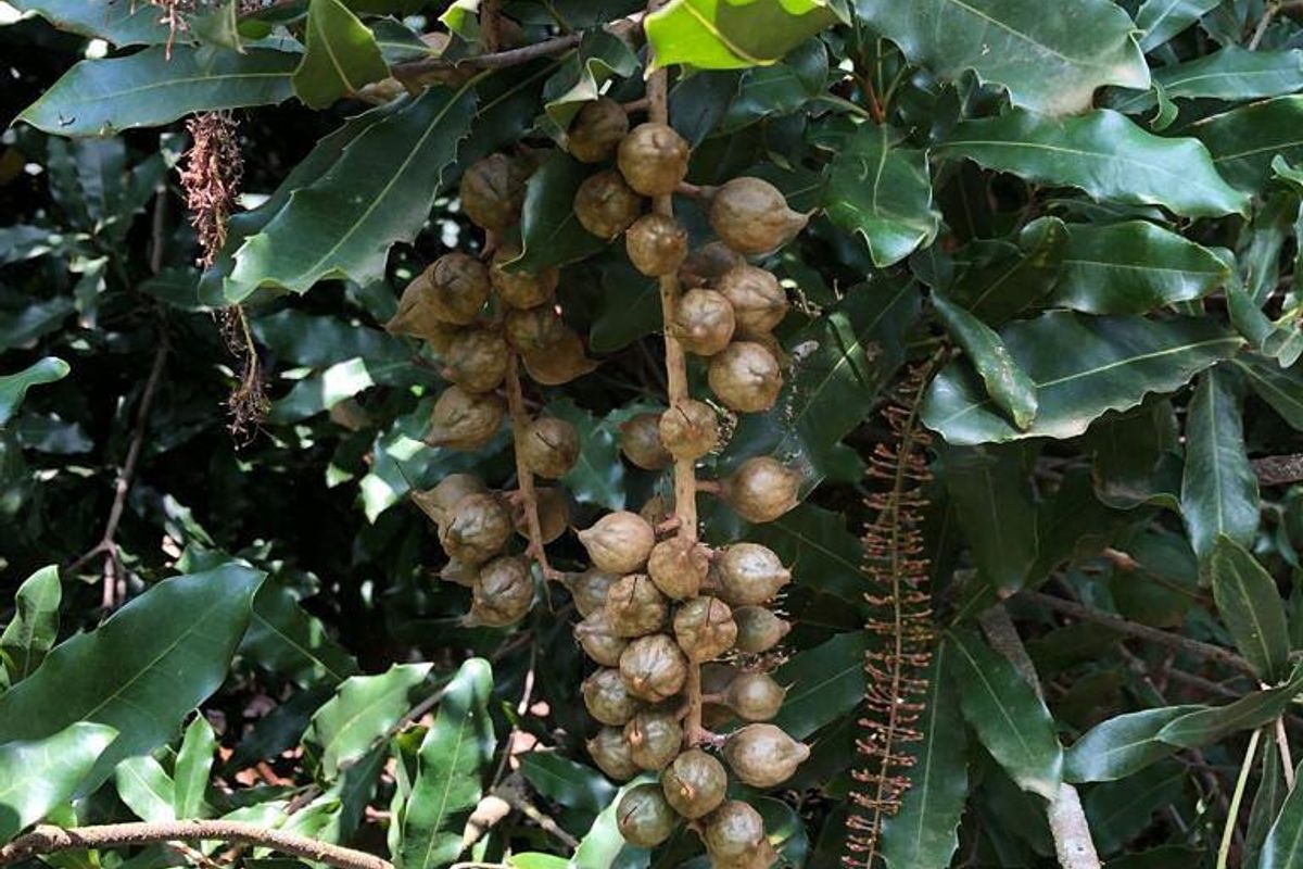 Established large scale Farm - Photo 3