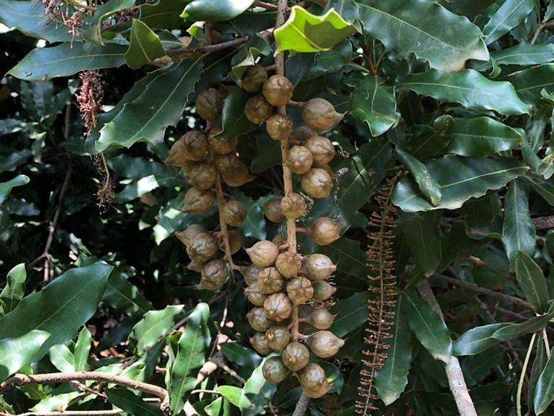 Established large scale Farm - Photo 3