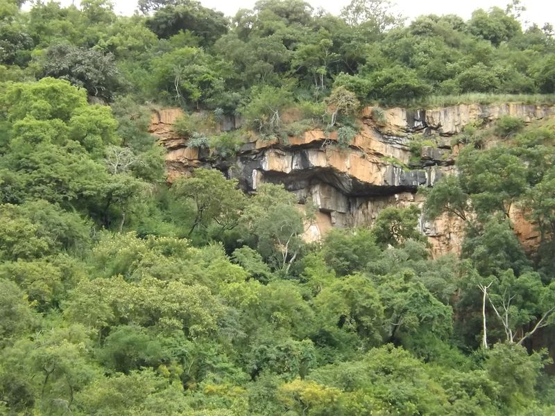 Ideal Citrus/Macadamia Farm for Sale - Photo 7