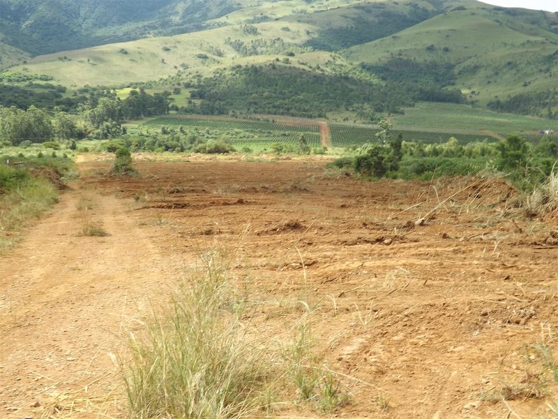 Ideal Citrus/Macadamia Farm for Sale - Photo 8