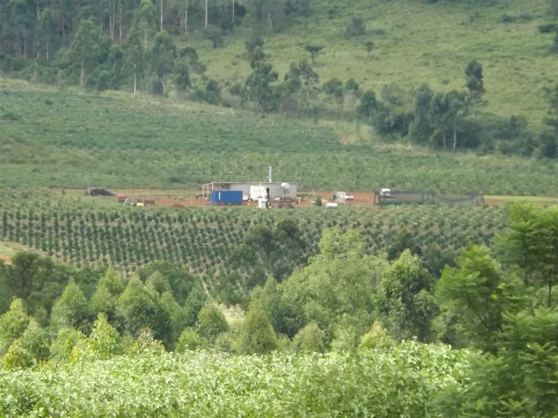 Ideal Citrus/Macadamia Farm for Sale - Photo 6