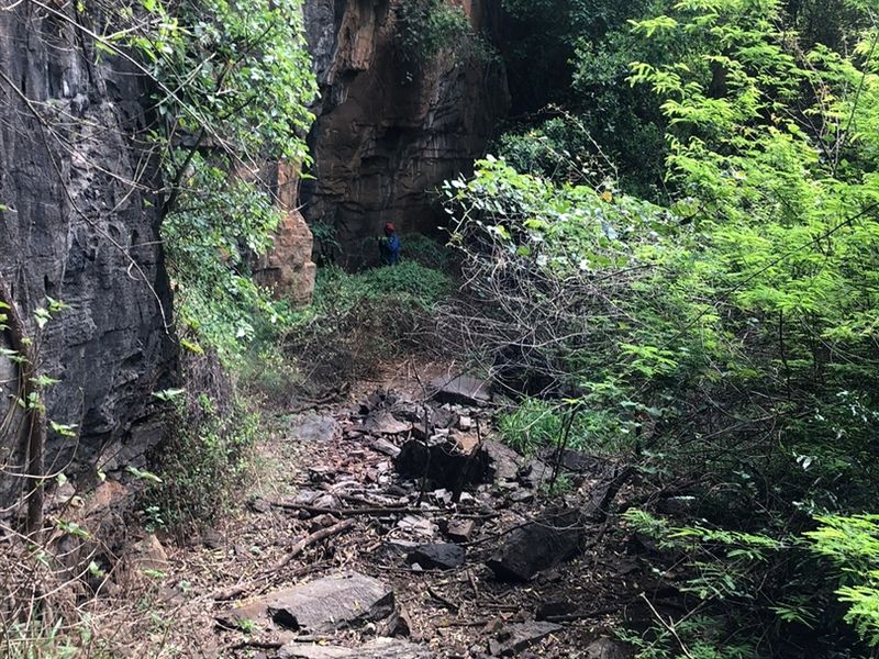 Ideal Citrus/Macadamia Farm for Sale - Photo 10