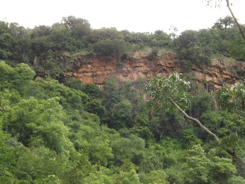 Ideal Citrus/Macadamia Farm for Sale - Photo 9