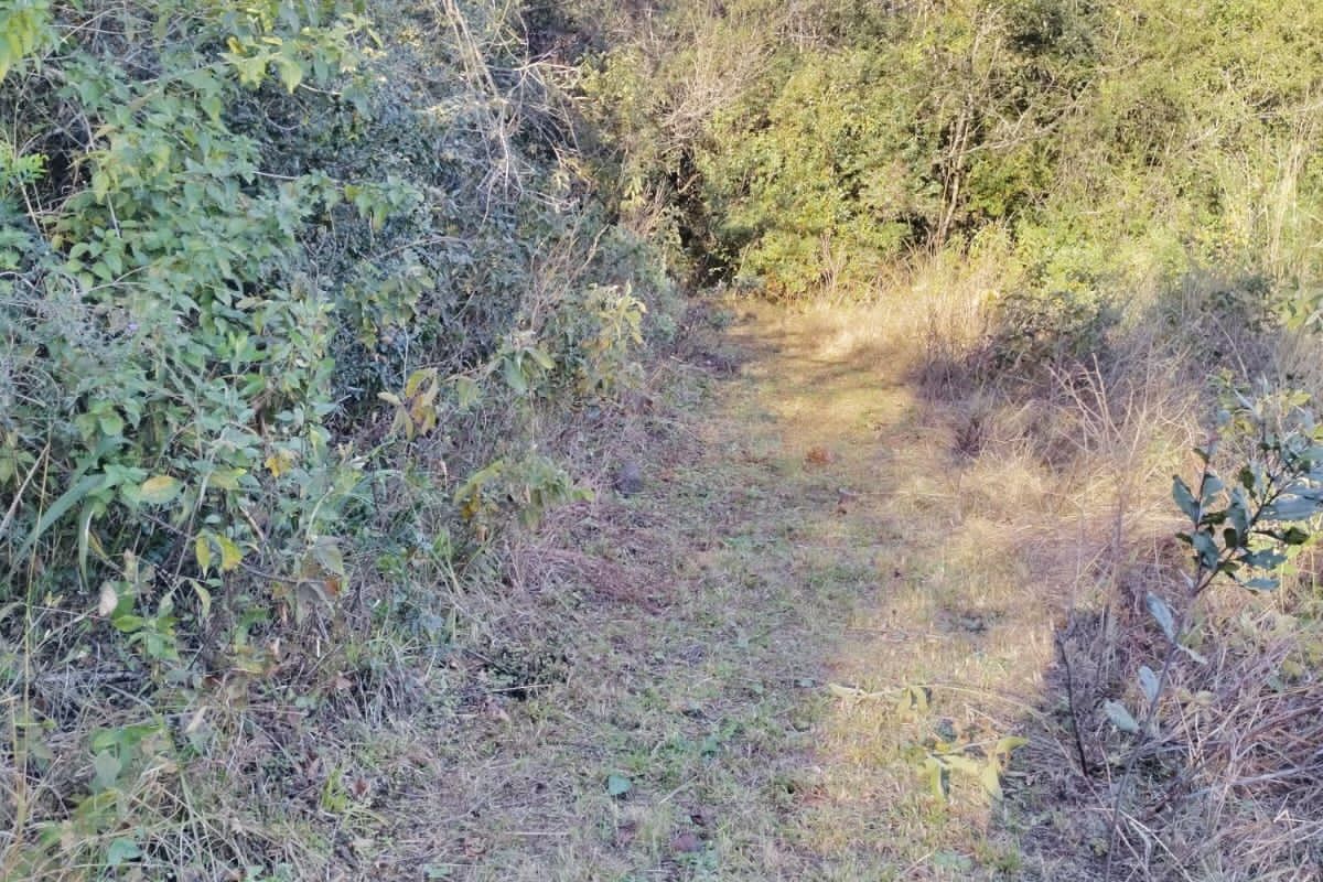 Nature’s Paradise at Bakoni Cliffs Site13 - Photo 5