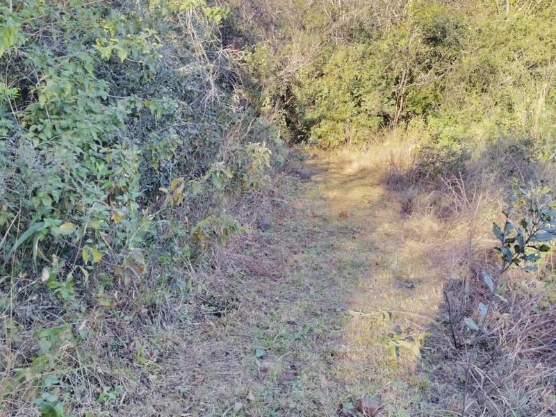 Nature’s Paradise at Bakoni Cliffs Site13 - Photo 5