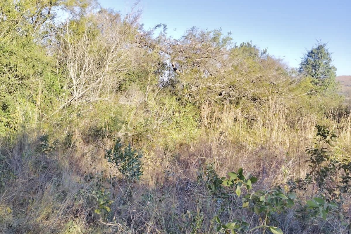 Nature’s Paradise at Bakoni Cliffs Site13 - Photo 4