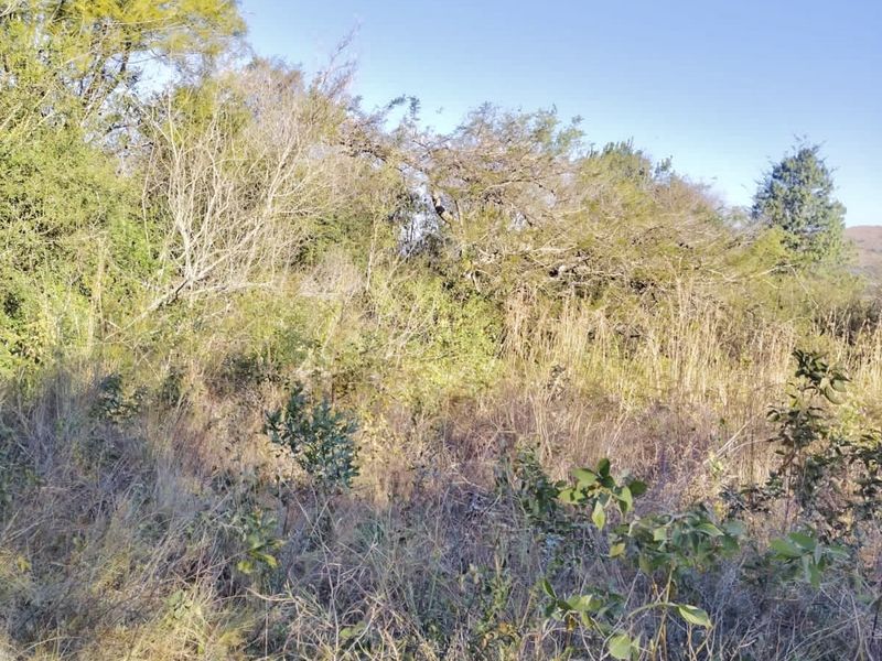 Nature’s Paradise at Bakoni Cliffs Site13 - Photo 4