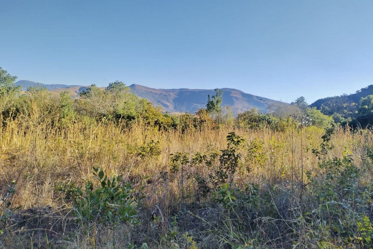 Nature’s Paradise at Bakoni Cliffs Site13 - Photo 3