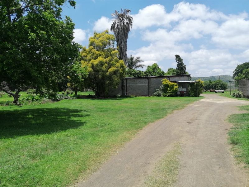 740 Hectares Cattle Farm - Photo 9
