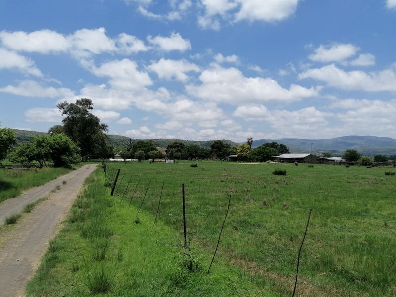 740 Hectares Cattle Farm - Photo 8