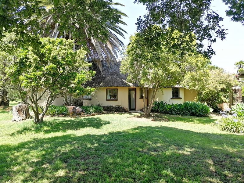 740 Hectares Cattle Farm - Photo 7